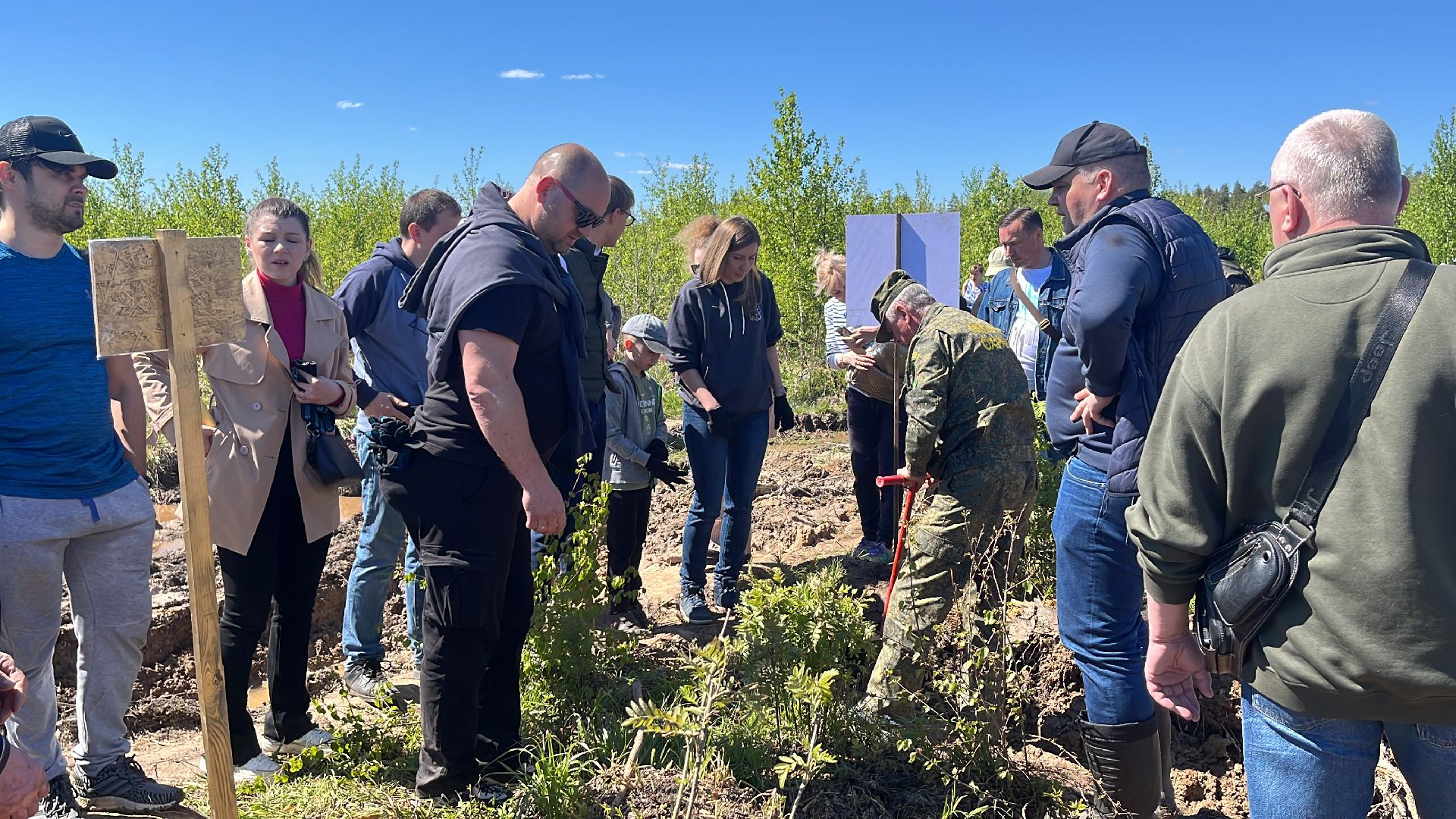 акция, экоакция, экологическая акция, лес будущего, саженцы, сосна, сосны,