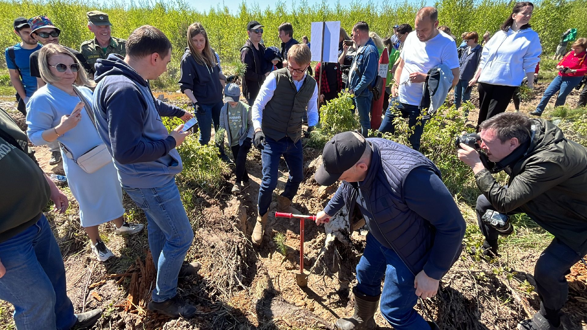 акция, экоакция, экологическая акция, лес будущего, саженцы, сосна, сосны,