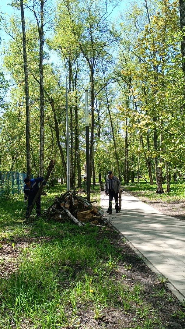 субботник, экология, лобня,