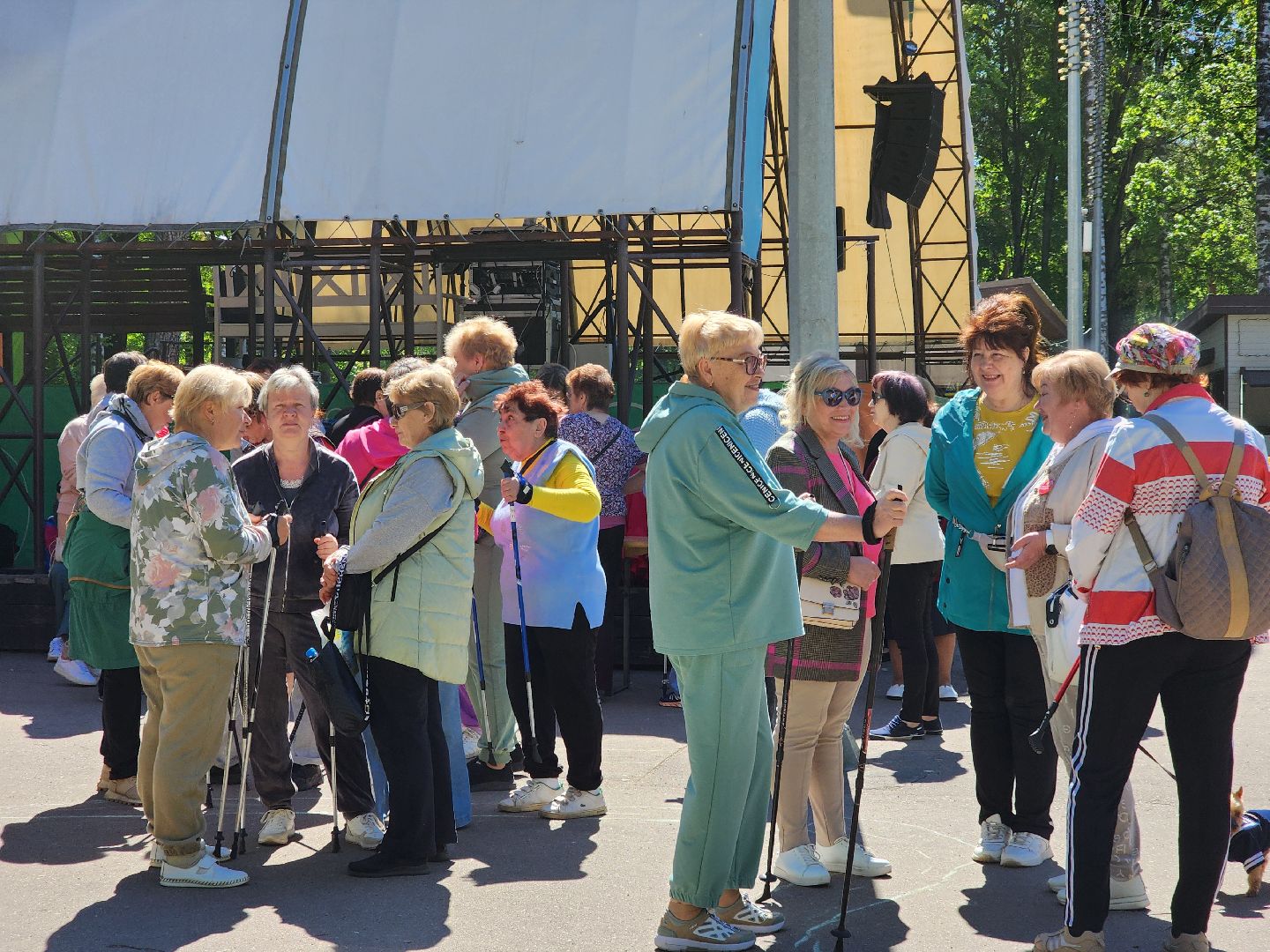 Ногинск, Авктивное долголетие, Общество, Жители, Марафон, скандинавская ходьба, марафон по скандинавской ходьбе,