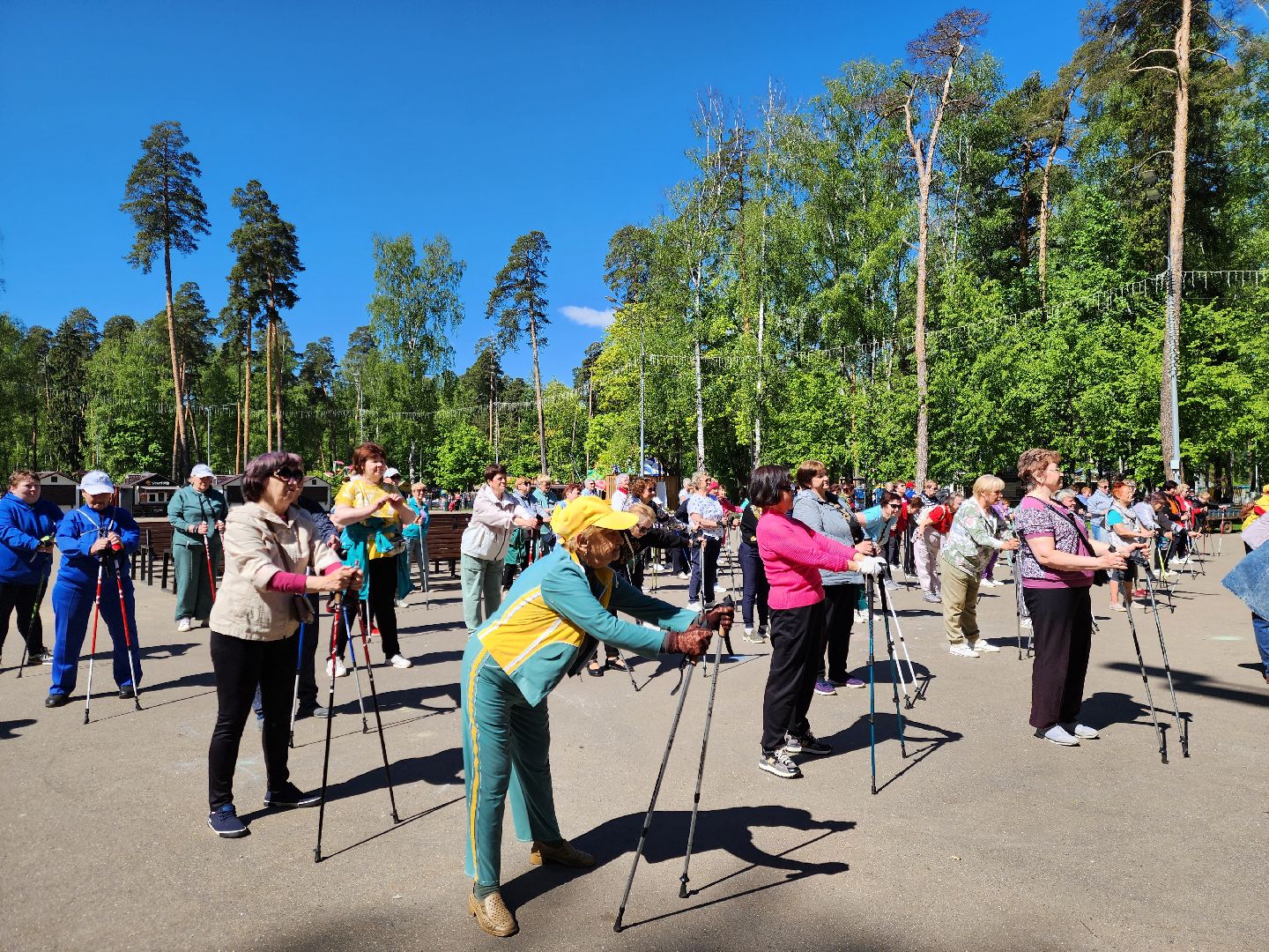 Ногинск, Авктивное долголетие, Общество, Жители, Марафон, скандинавская ходьба, марафон по скандинавской ходьбе,