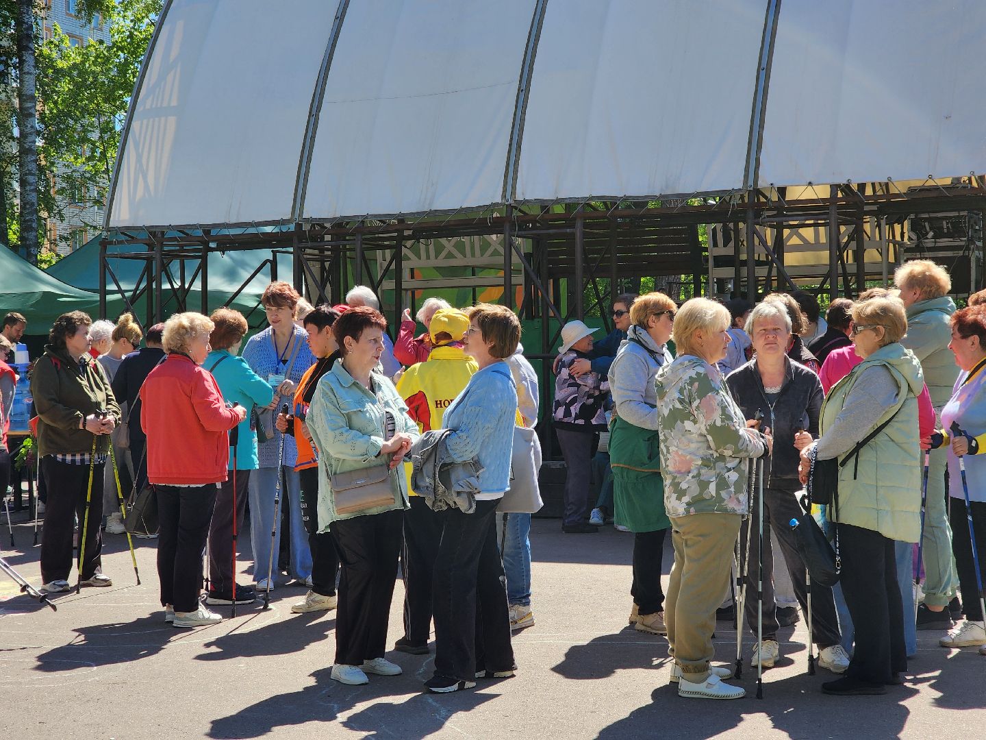 Ногинск, Авктивное долголетие, Общество, Жители, Марафон, скандинавская ходьба, марафон по скандинавской ходьбе,