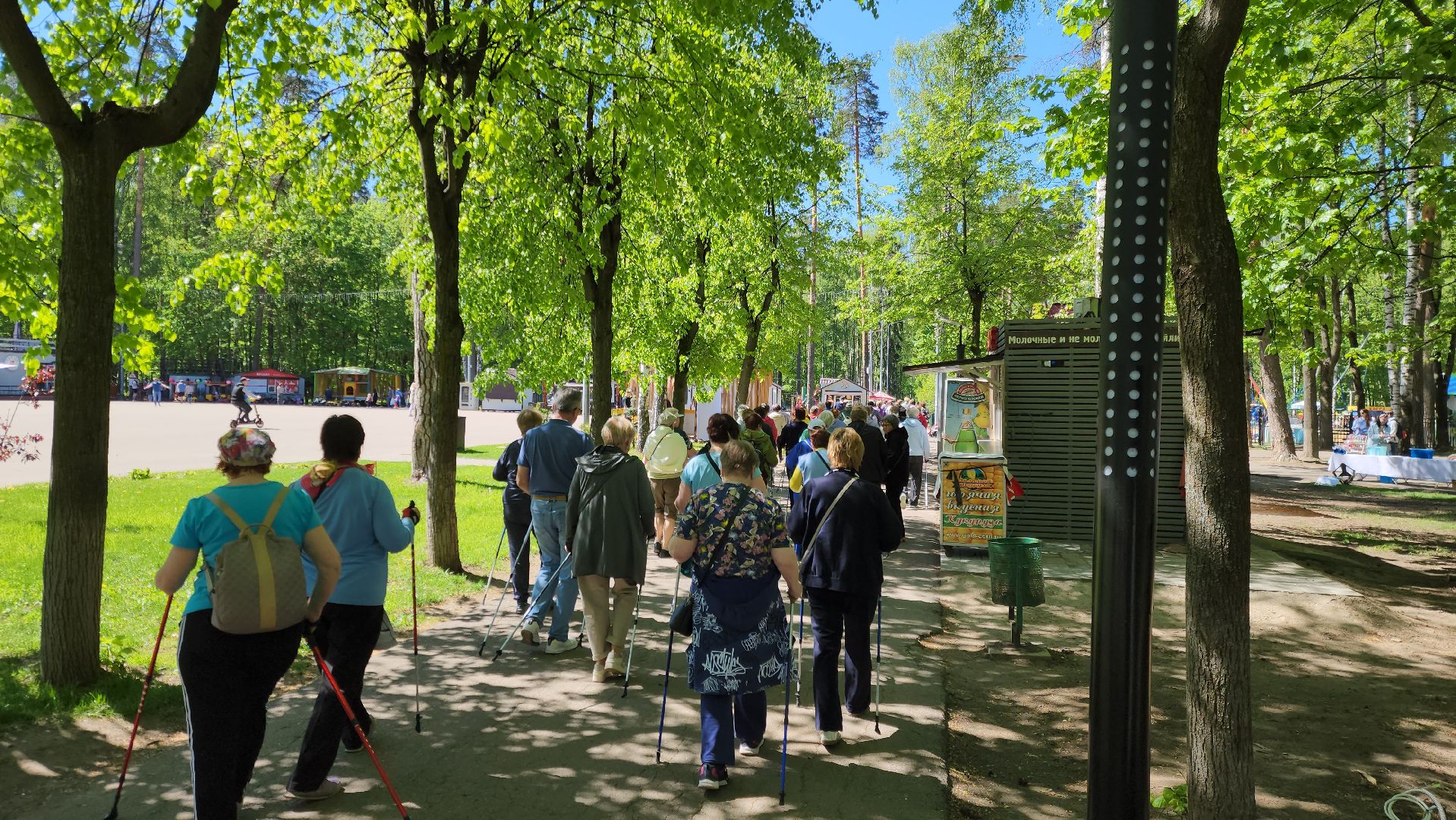 Ногинск, Авктивное долголетие, Общество, Жители, Марафон, скандинавская ходьба, марафон по скандинавской ходьбе,