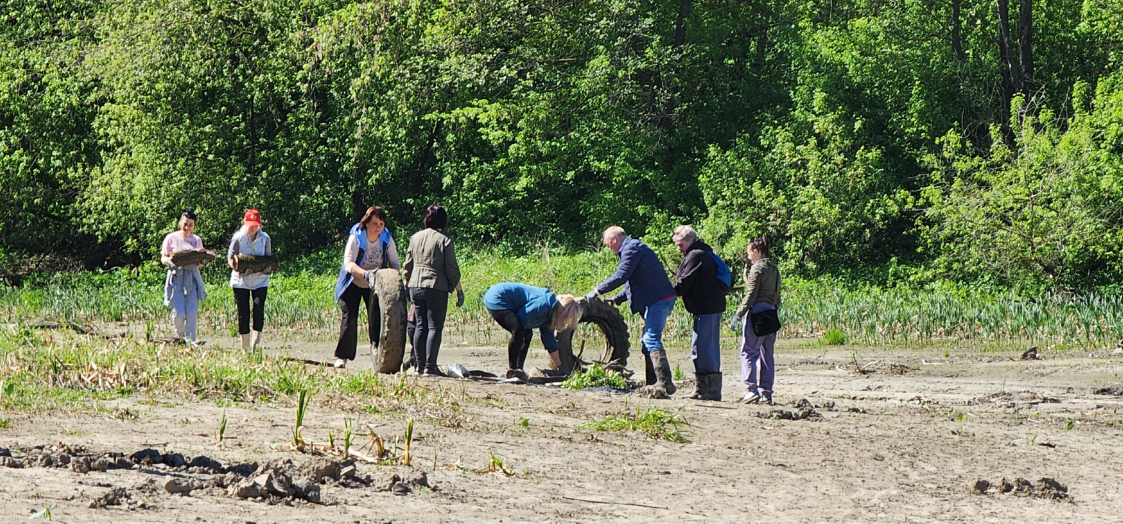 Коломна, субботник,
