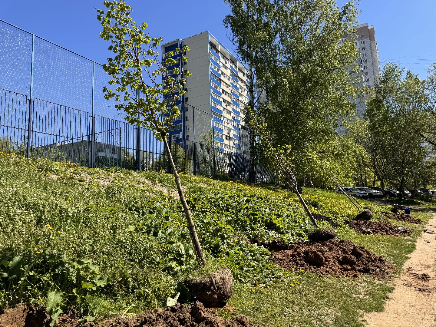 Одинцово, Аллея лип, день победы,