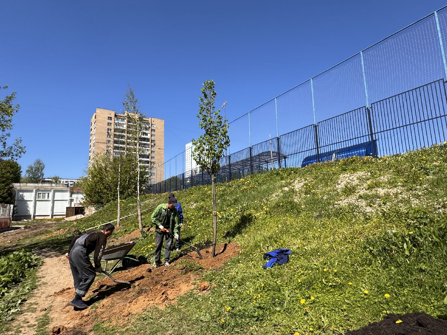 Одинцово, Аллея лип, день победы,