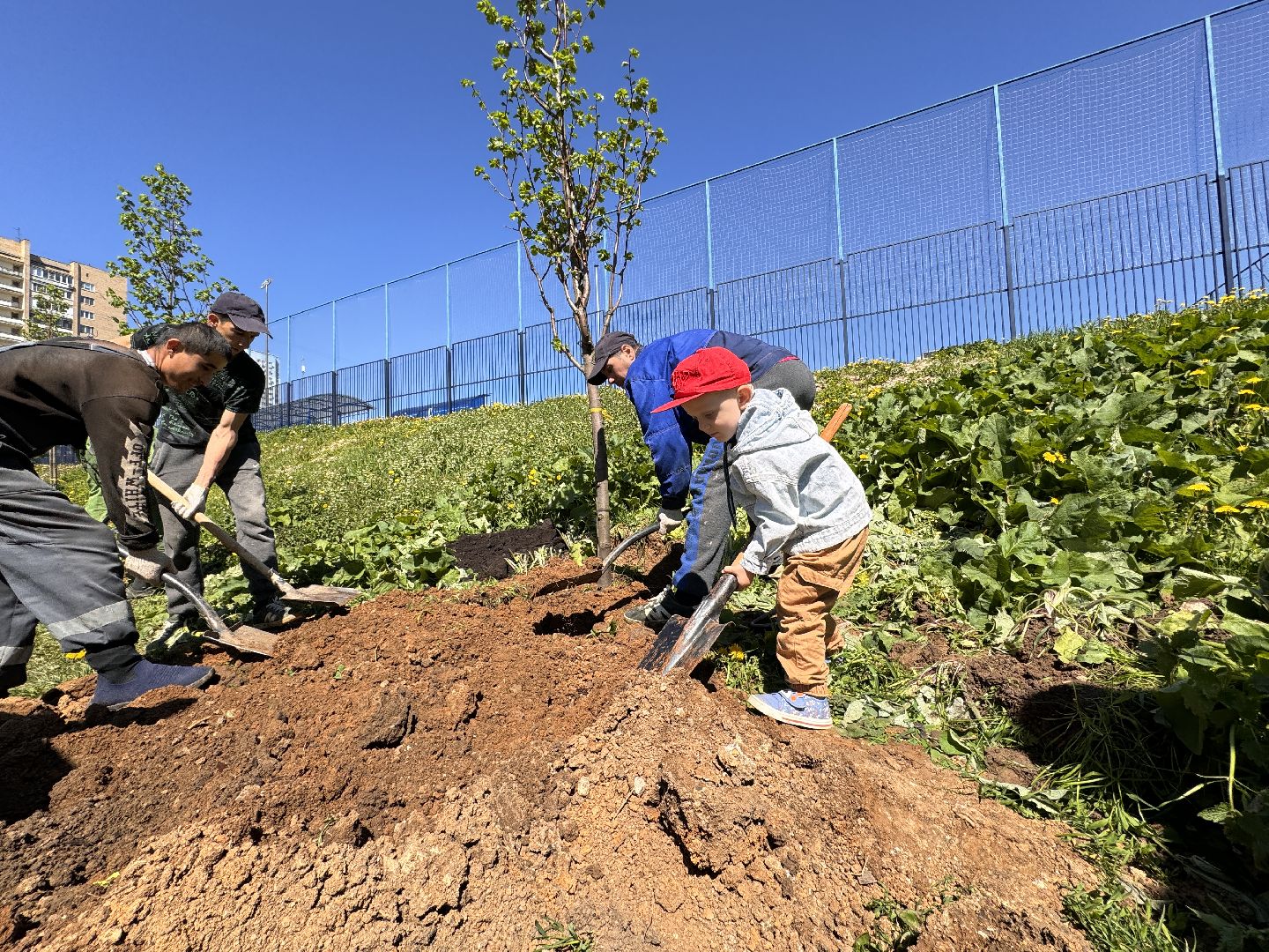 Одинцово, Аллея лип, день победы,