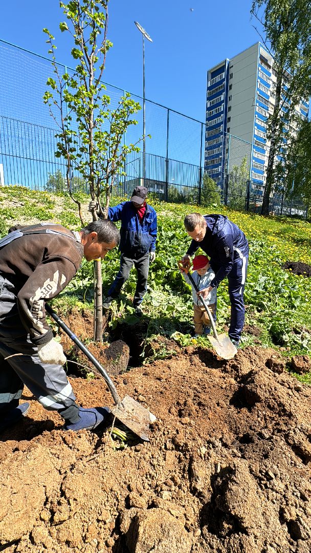 Одинцово, Аллея лип, день победы,