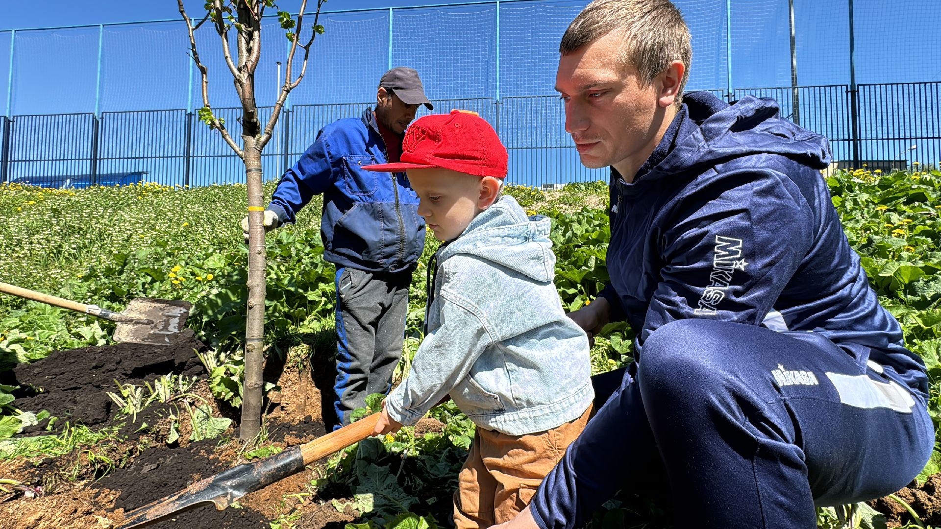 Одинцово, Аллея лип, день победы,