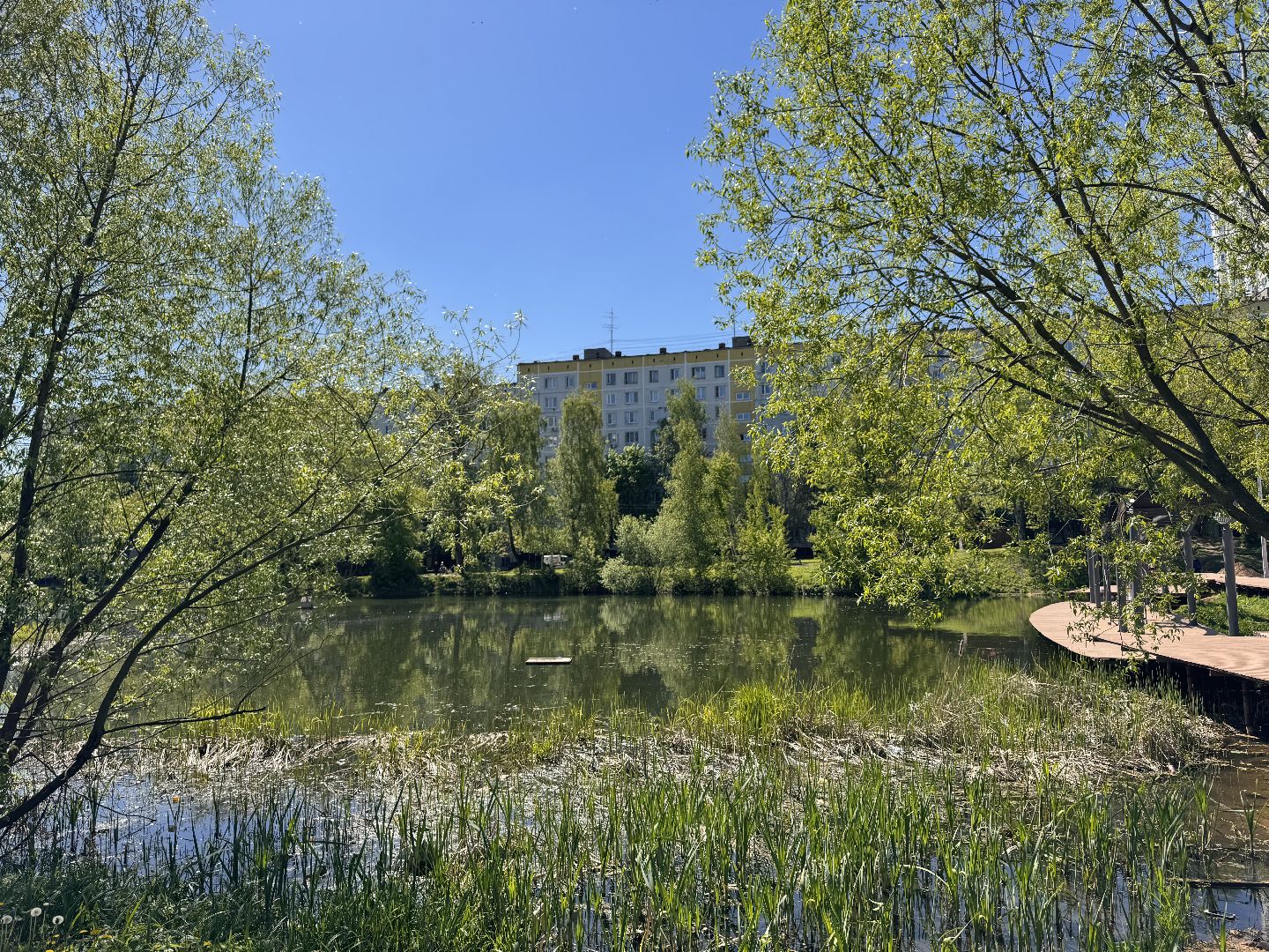 Одинцово, Аллея лип, день победы,