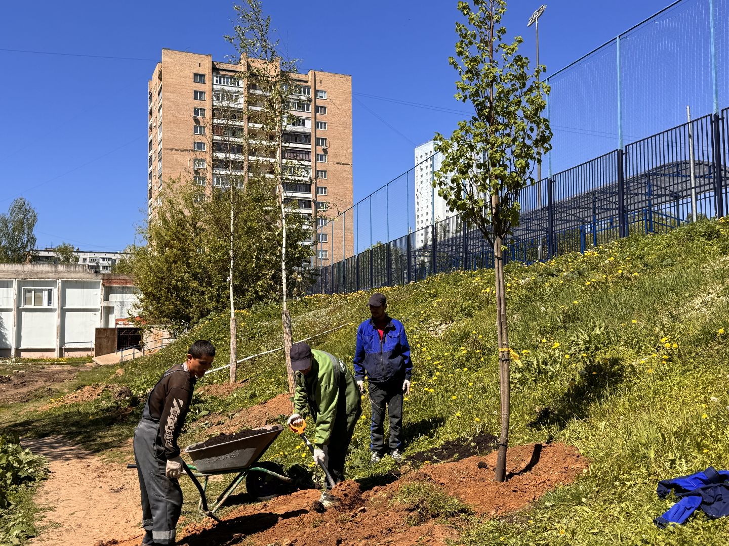 Одинцово, Аллея лип, день победы,