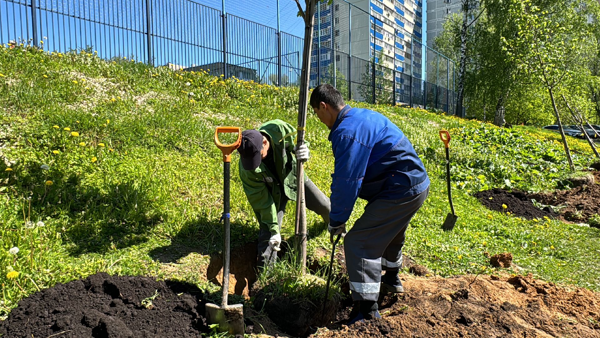Одинцово, Аллея лип, день победы,