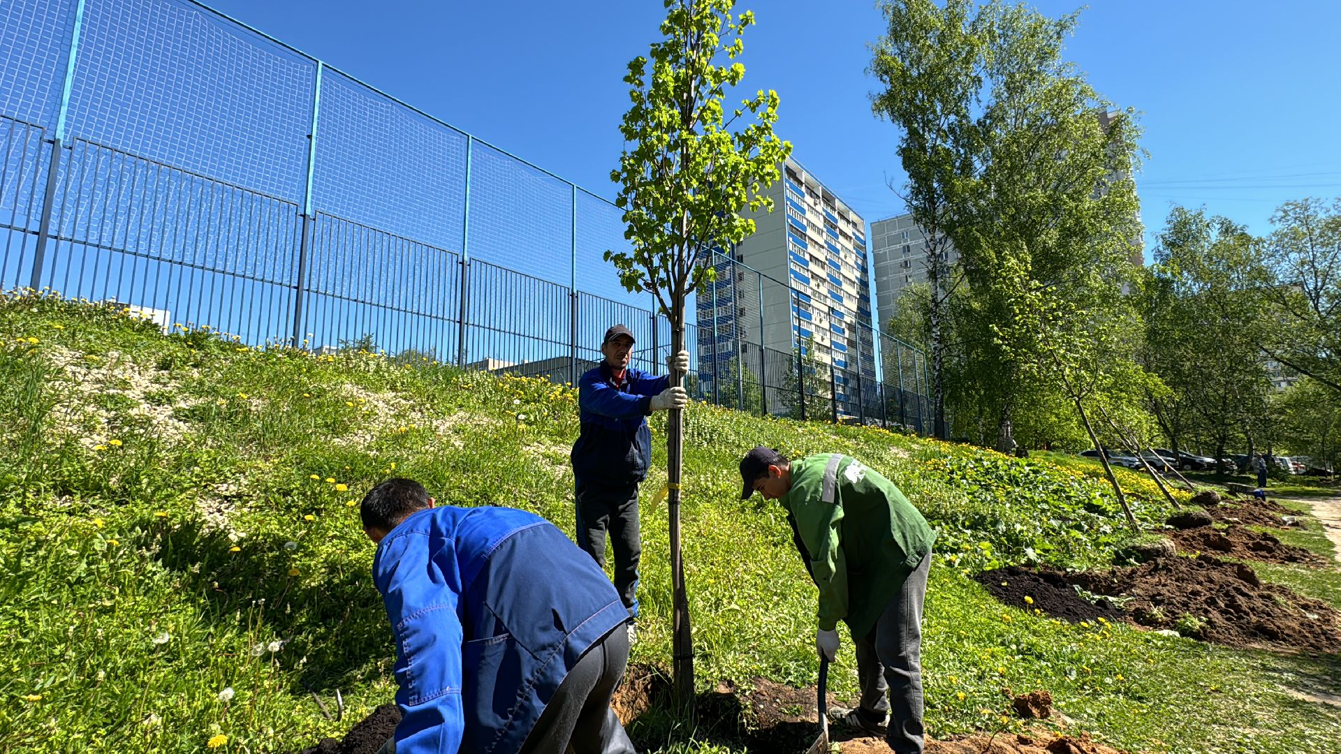 Одинцово, Аллея лип, день победы,