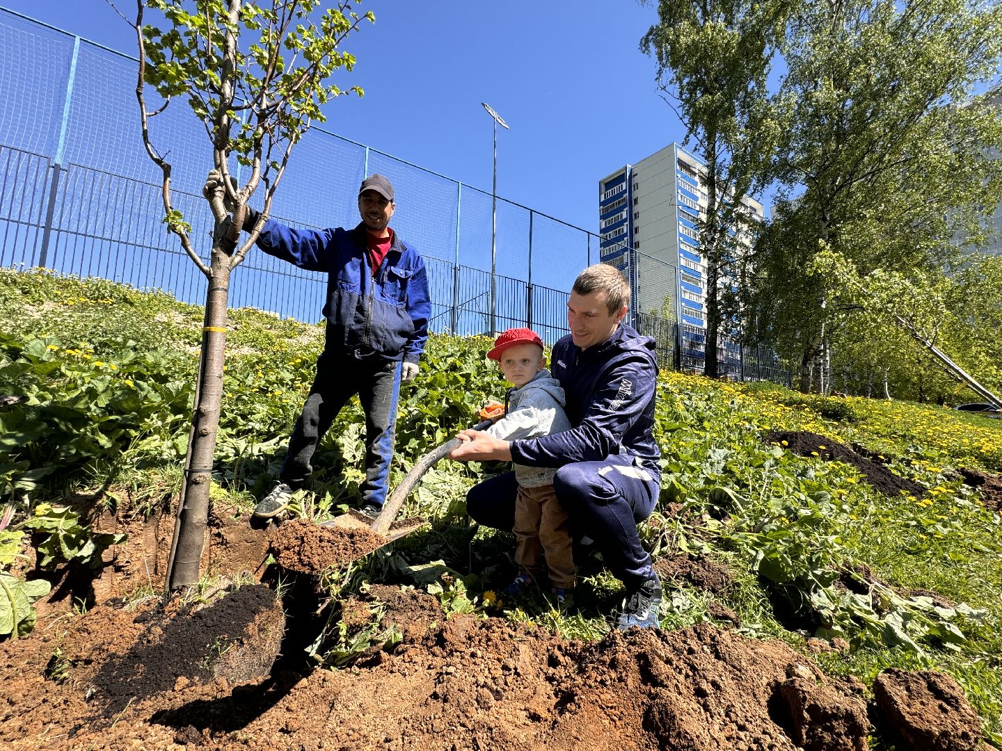 Одинцово, Аллея лип, день победы,