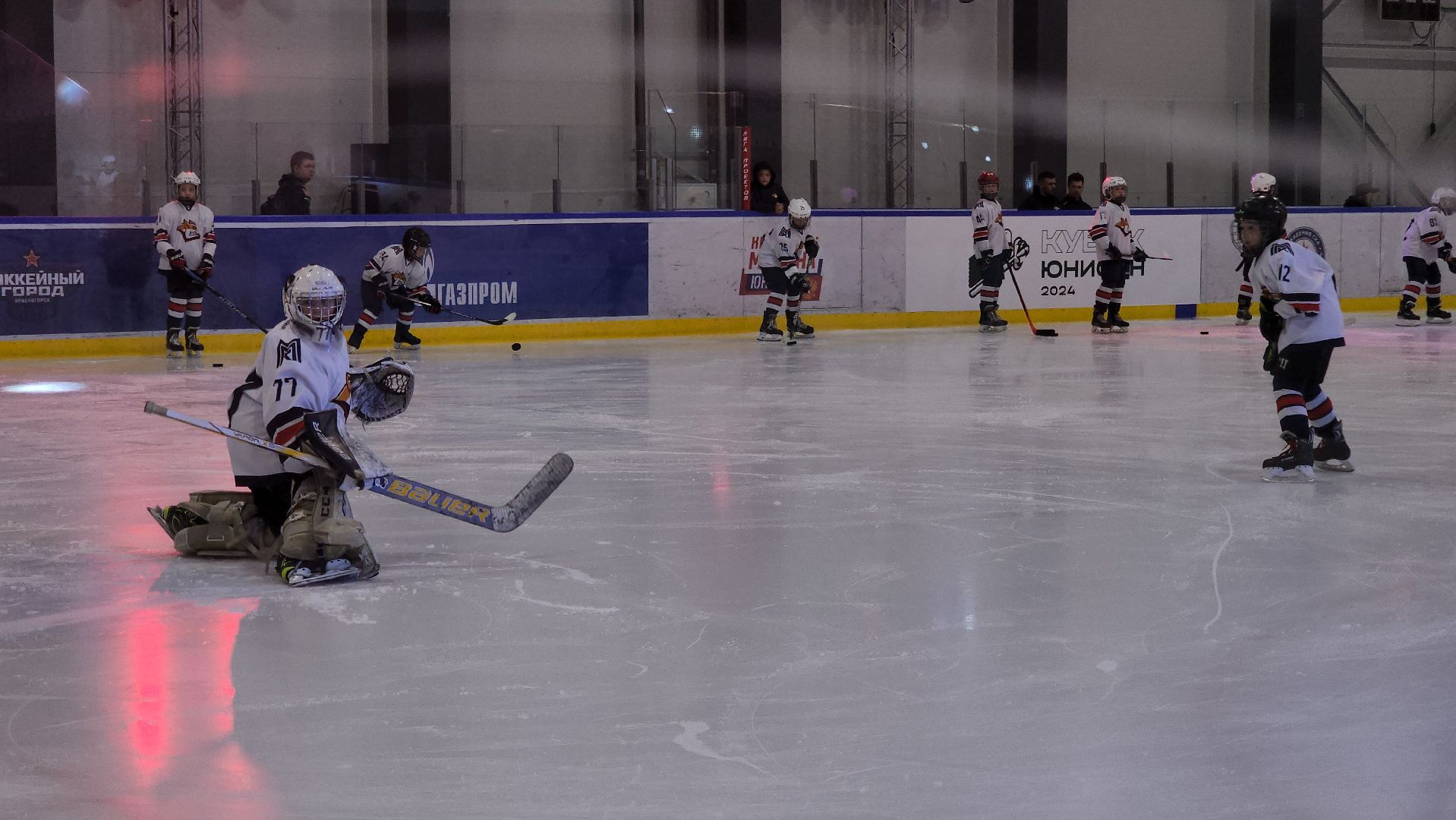 красногорск, хоккей, хоккейный город, ротенберг, кубок юнисон,воробьёв,дегтярев,