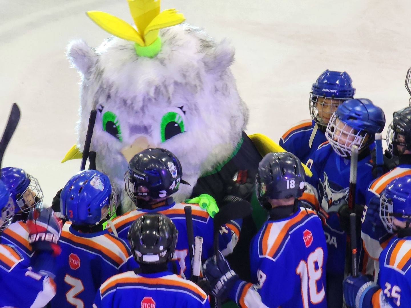 красногорск, хоккей, хоккейный город, ротенберг, кубок юнисон,воробьёв,дегтярев,