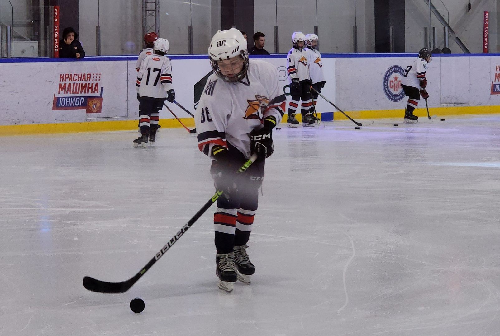 красногорск, хоккей, хоккейный город, ротенберг, кубок юнисон,воробьёв,дегтярев,