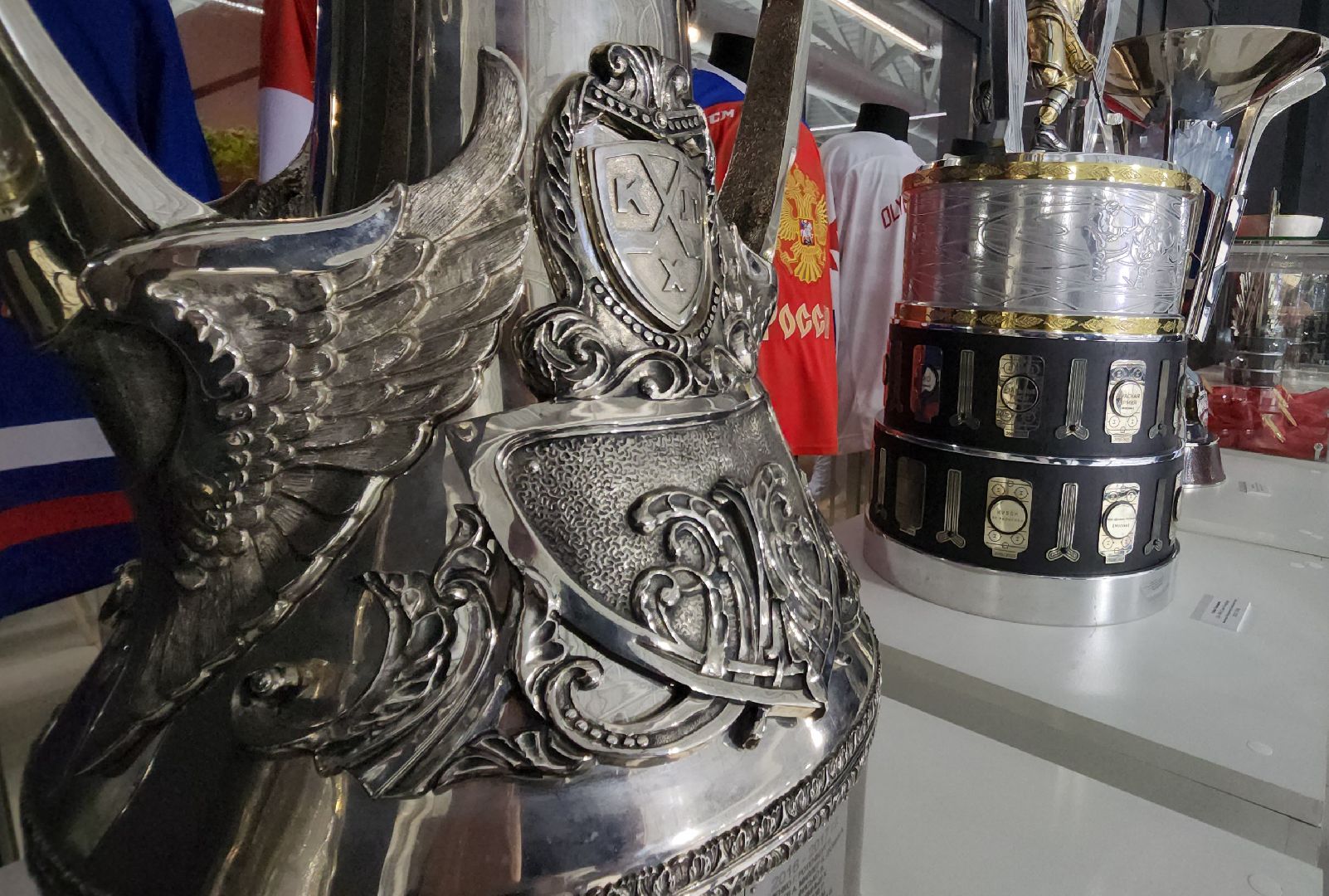 красногорск, хоккей, хоккейный город, ротенберг, кубок юнисон,воробьёв,дегтярев,