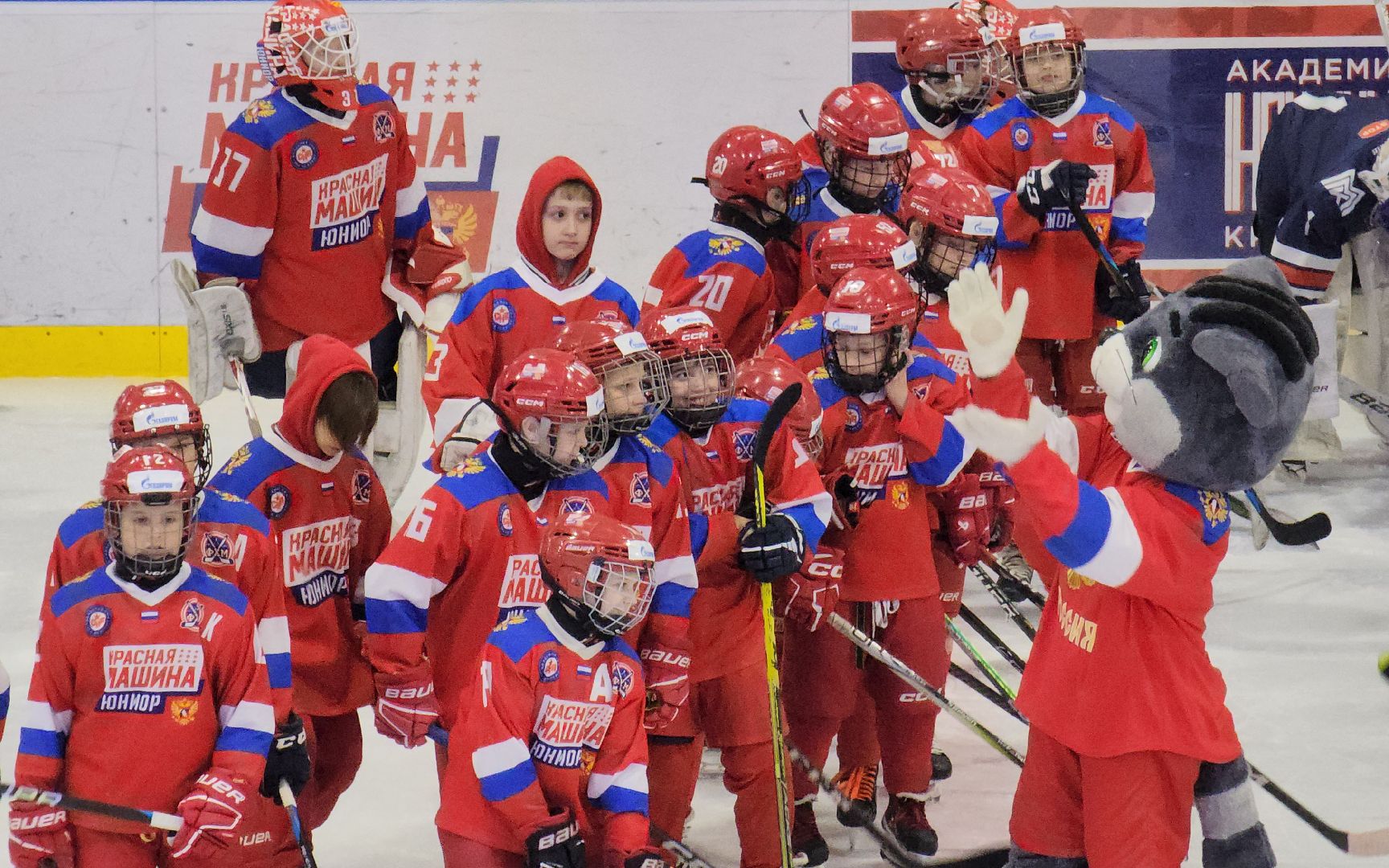 красногорск, хоккей, хоккейный город, ротенберг, кубок юнисон,воробьёв,дегтярев,
