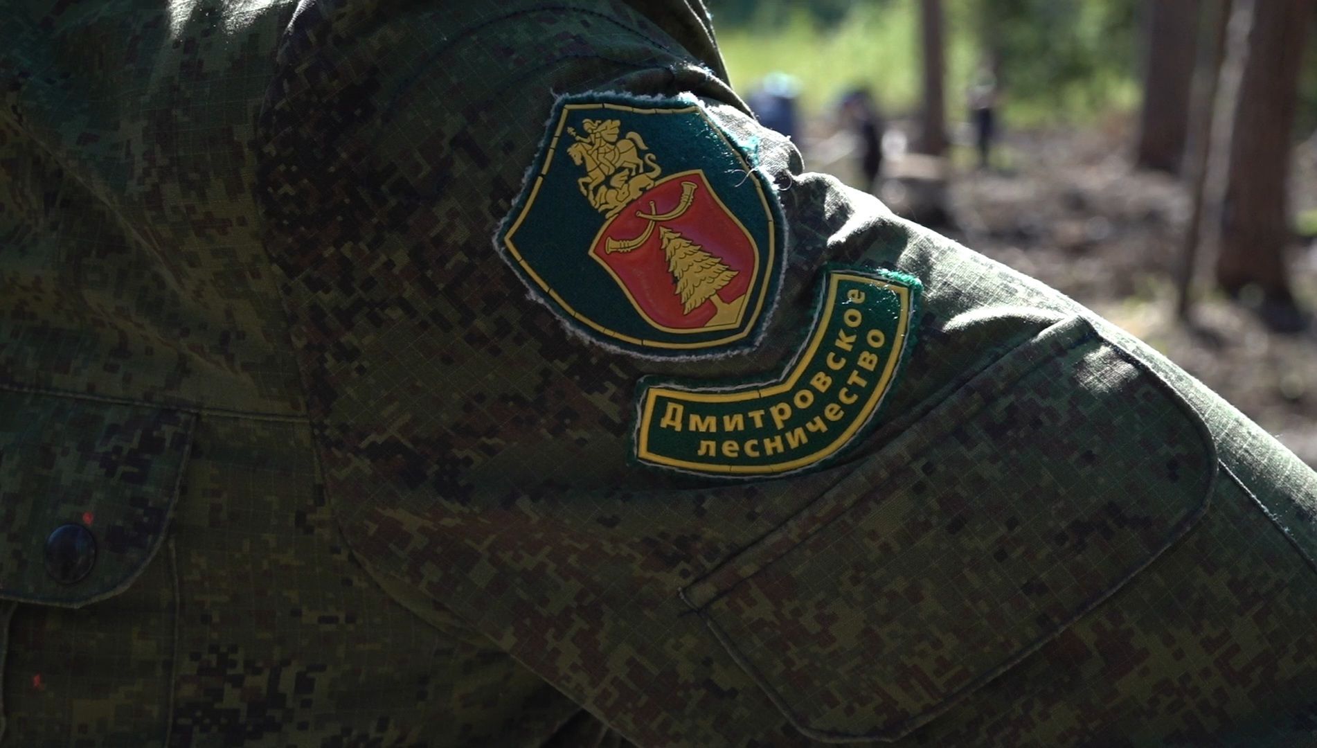 высадка деревьев, экологическая акция,