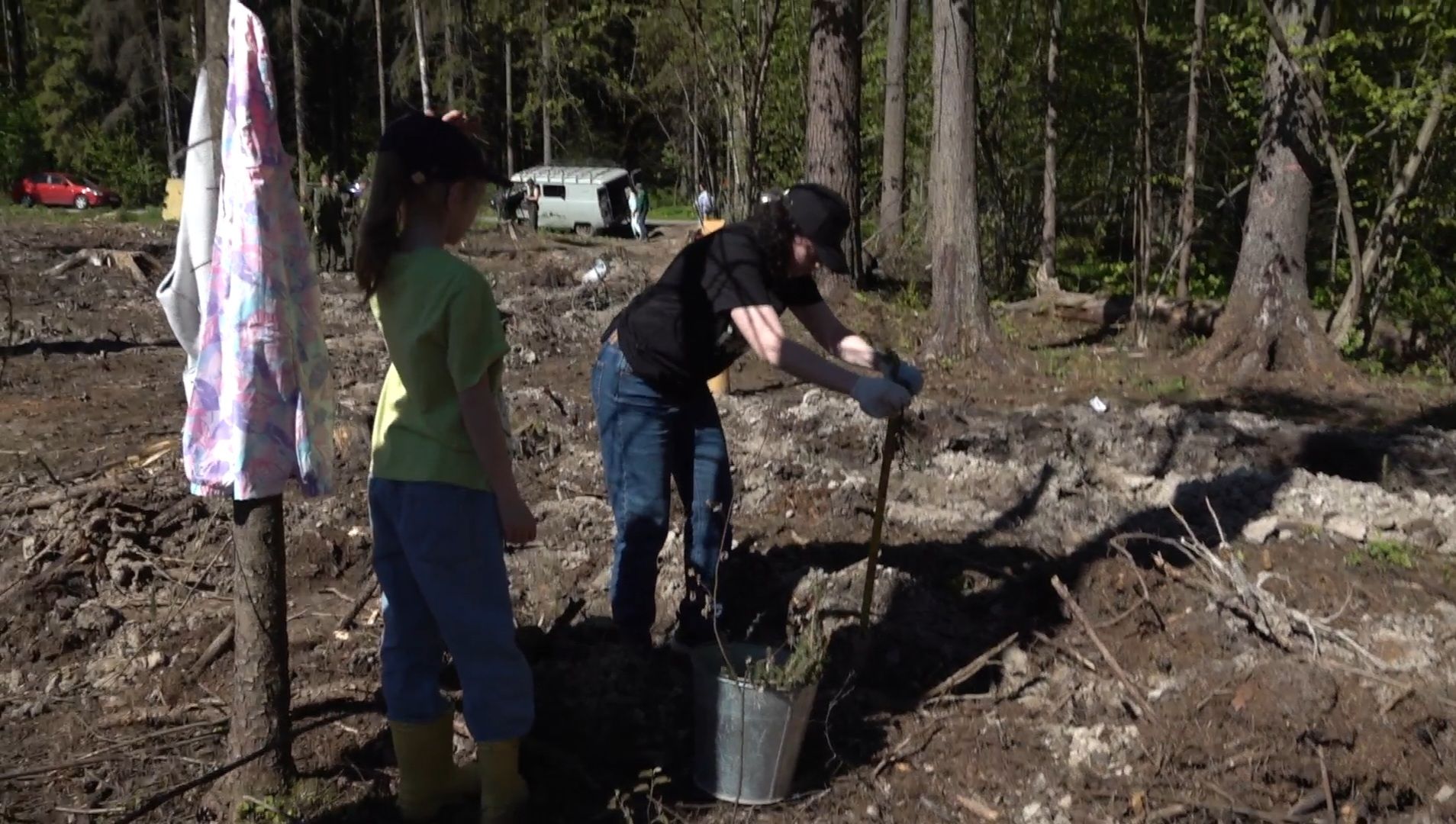 высадка деревьев, экологическая акция,