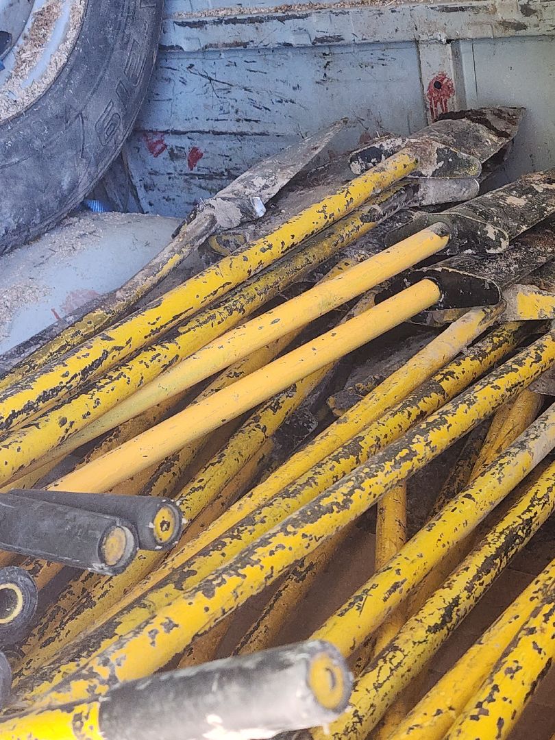 экологическая акция, высадка деревьев,