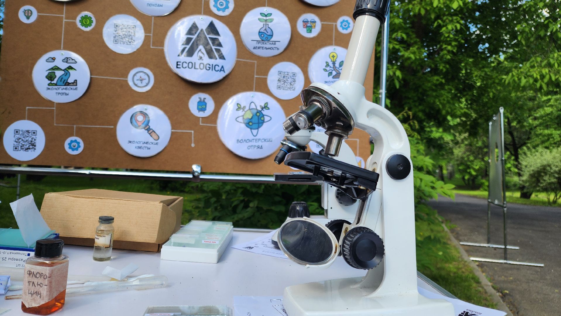 Подольск, музей, ночь музеев, квест, экология,