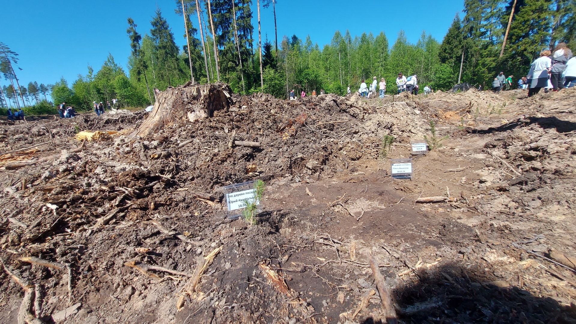 лес будущего, акции, экологическая акция,