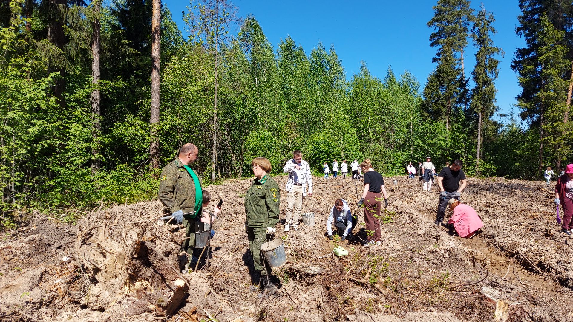 лес будущего, акции, экологическая акция,