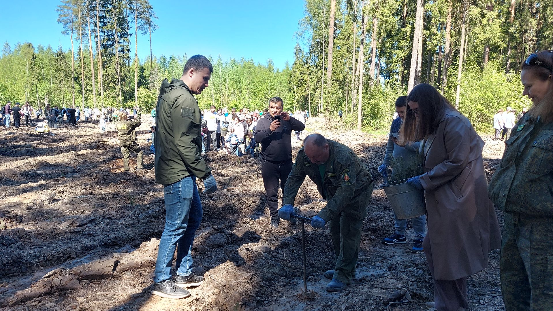 лес будущего, акции, экологическая акция,
