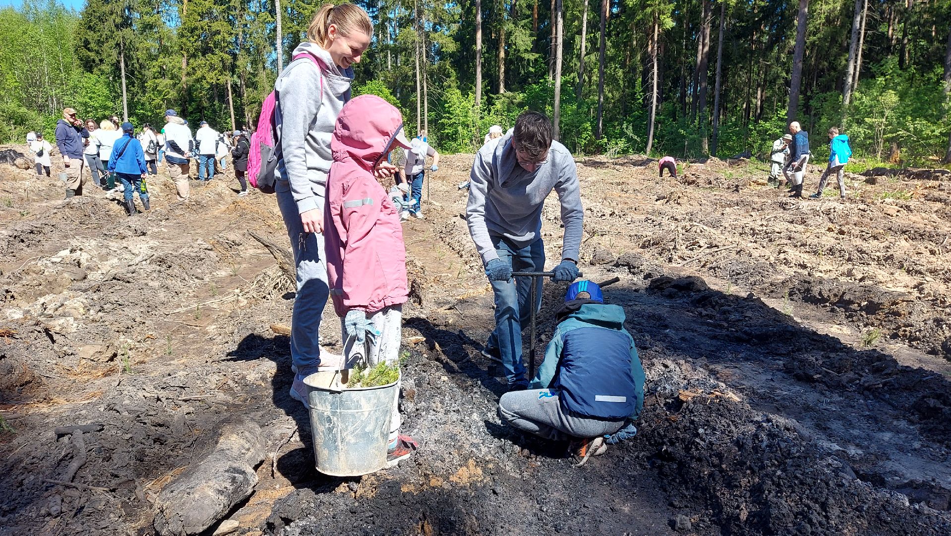лес будущего, акции, экологическая акция,