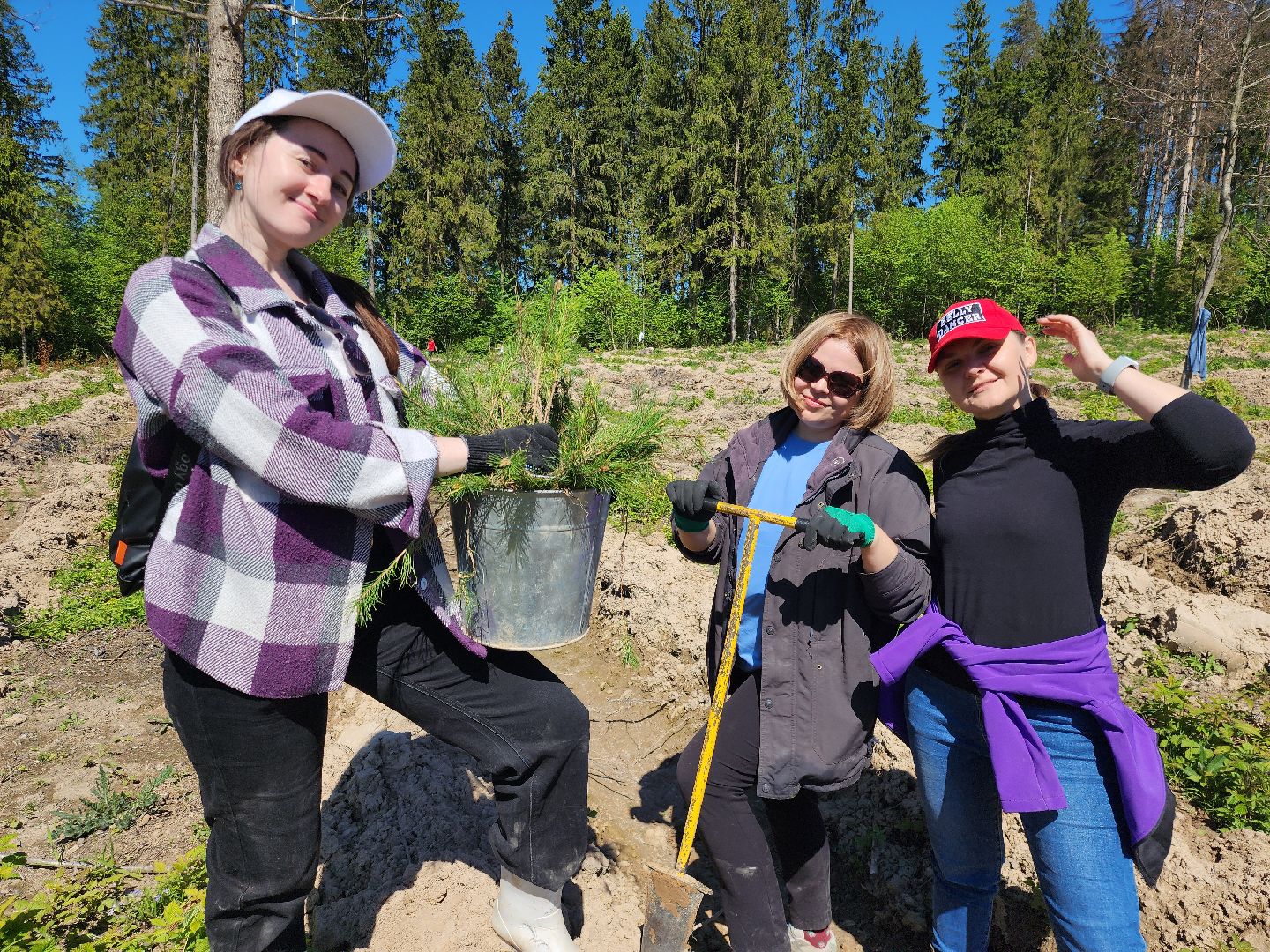 Звенигород, Акции, Посади лес,