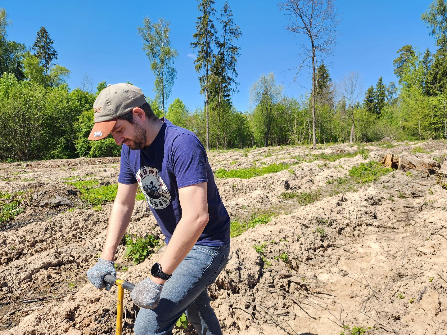 Звенигород, Акции, Посади лес,