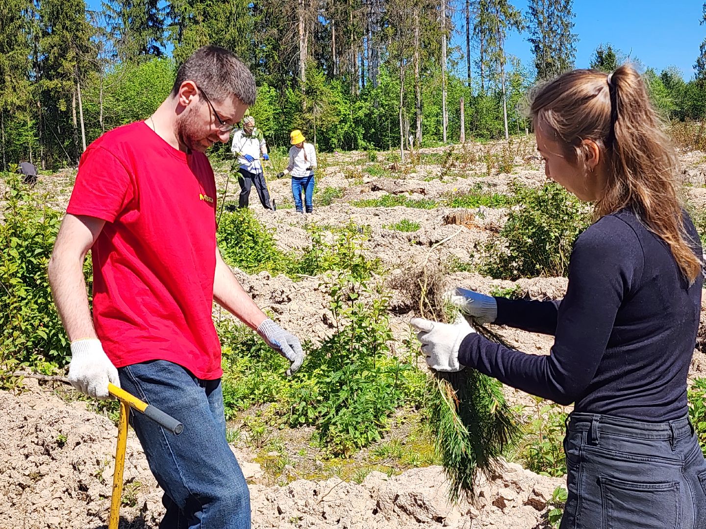 Звенигород, Акции, Посади лес,