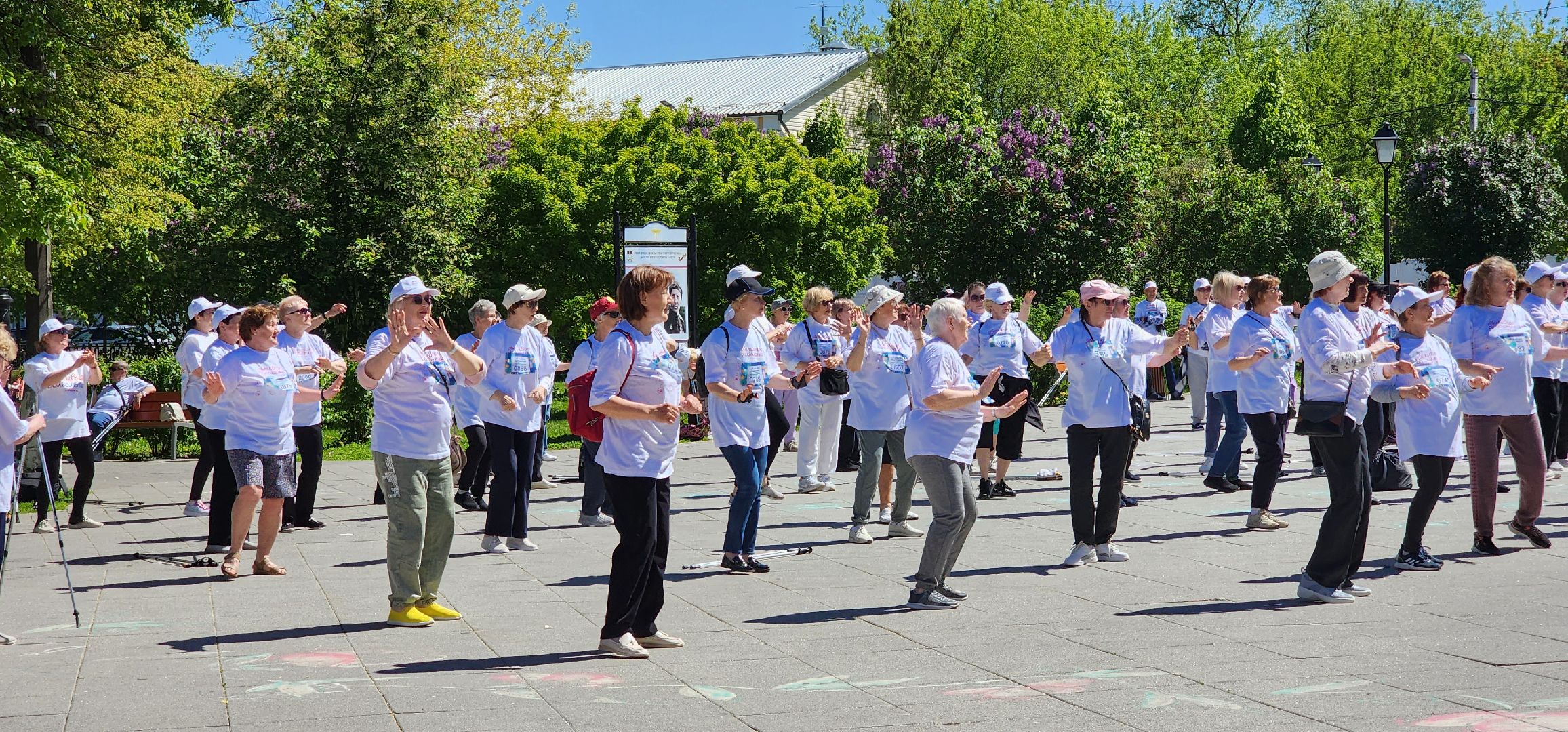 Коломна, скандинавская ходьба, активное долголетие,