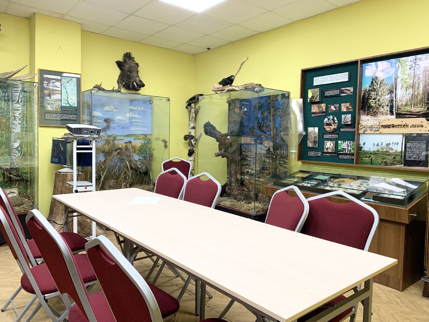 Балашиха, Подмосковье, Акция Ночь музеев, Выставки, Музеи, Балашихинский историко-художественный музей,