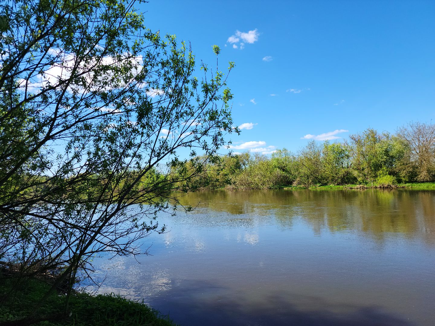 Звенигород, Ночь музеев, культура и туризм в подмосковье,
