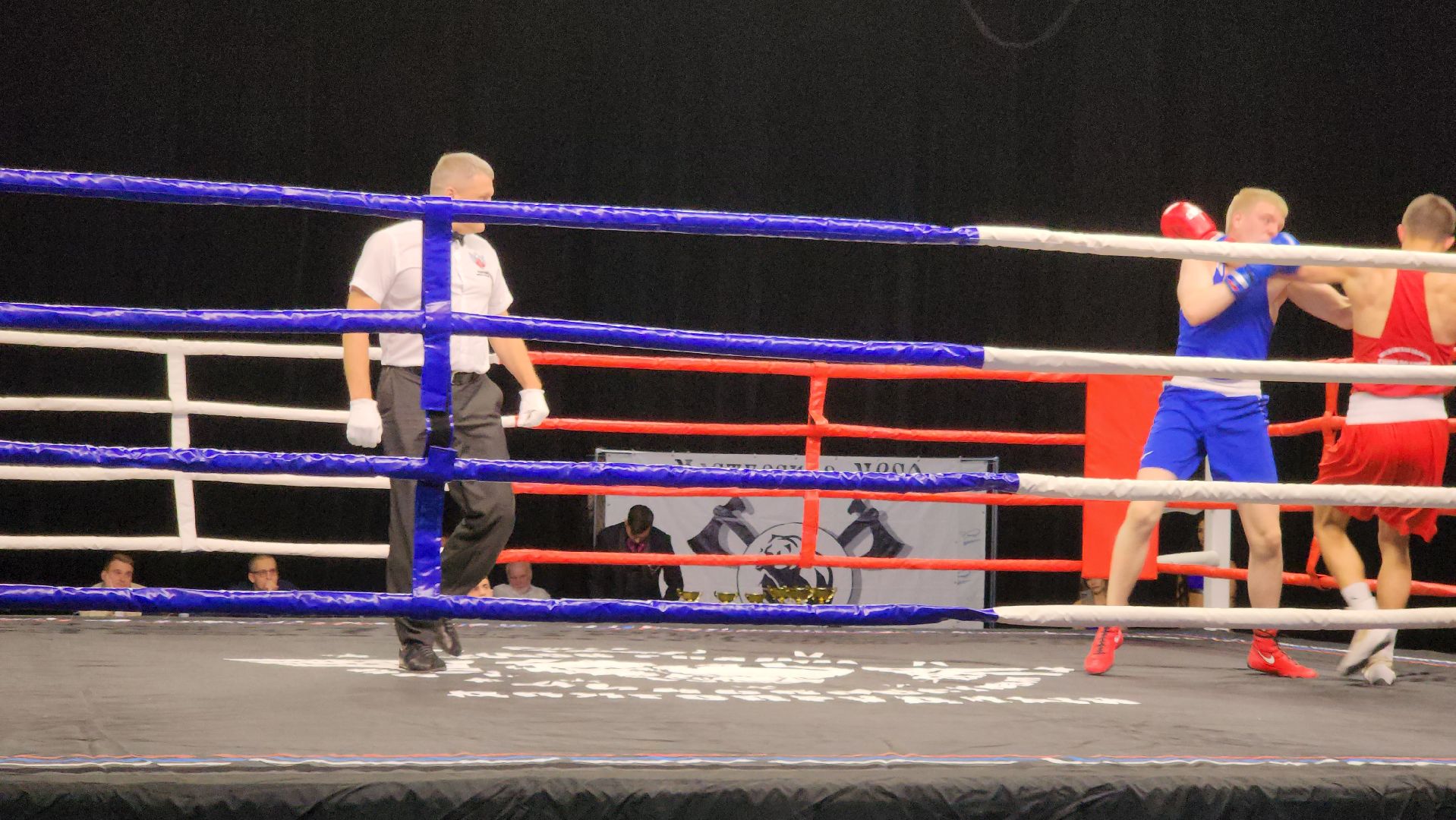 долгопрудный, Кубок главы по единоборствам, тайский бокс, бокс, ММА,поединки, дети, спортсмены,