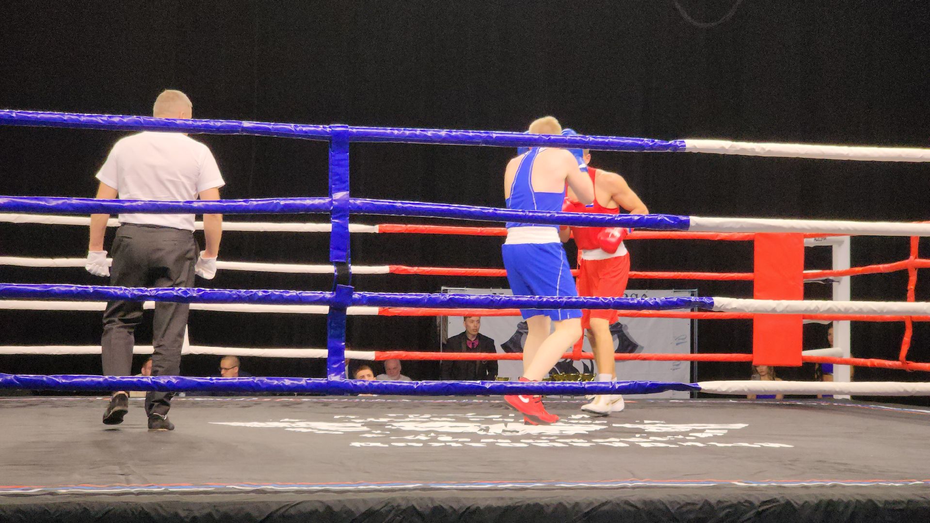 долгопрудный, Кубок главы по единоборствам, тайский бокс, бокс, ММА,поединки, дети, спортсмены,