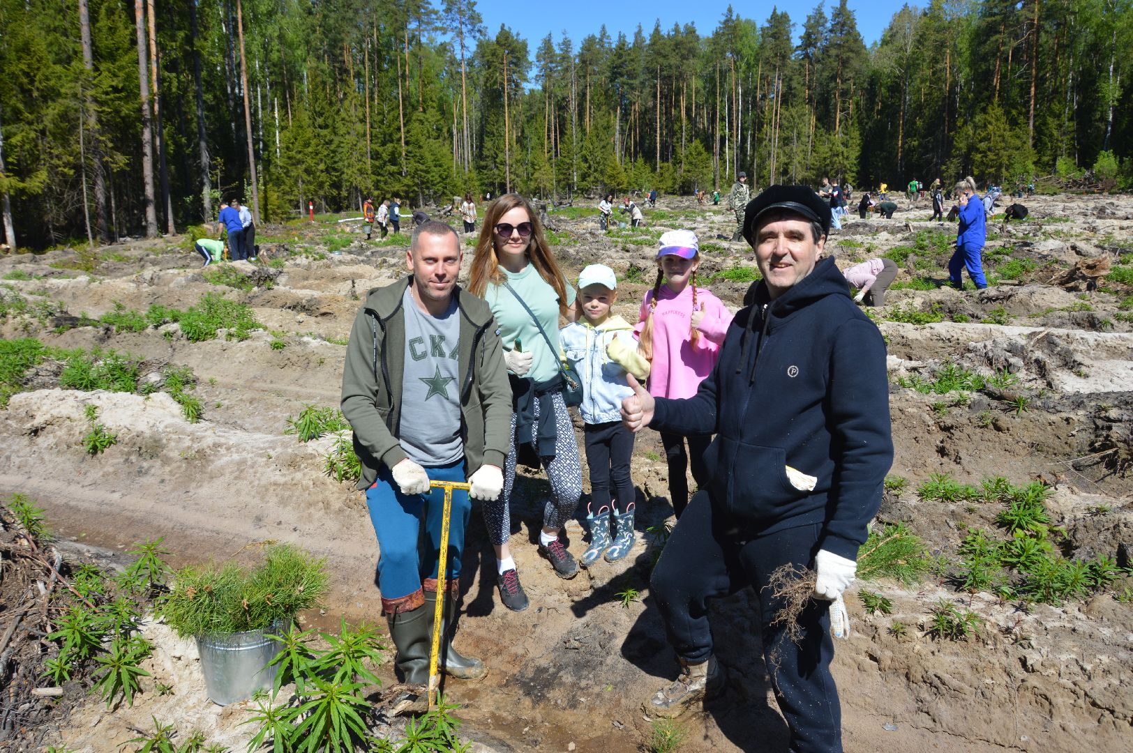 шатура, Мособллес, сад памяти, международная акция Лес Будущего, высадка деревьев, россия 1, вести москва, вести подмосковье,