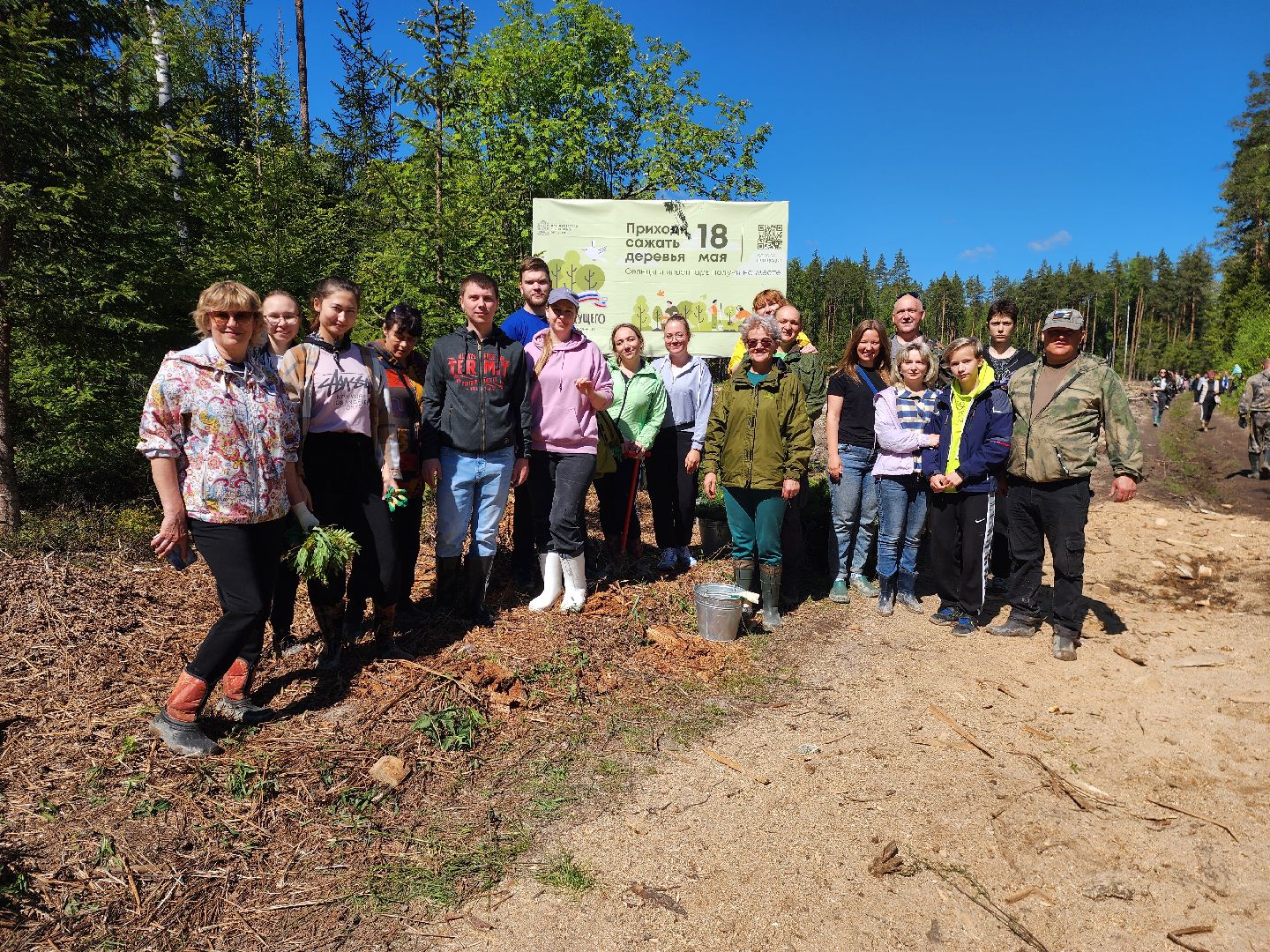 шатура, Мособллес, сад памяти, международная акция Лес Будущего, высадка деревьев, россия 1, вести москва, вести подмосковье,