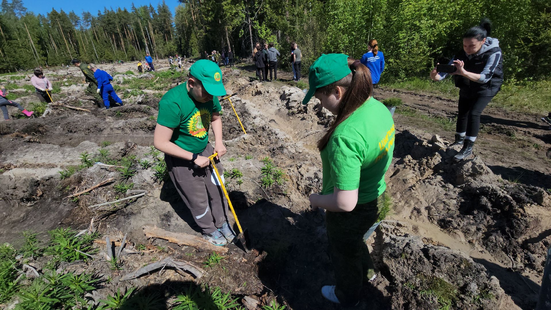 шатура, Мособллес, сад памяти, международная акция Лес Будущего, высадка деревьев, россия 1, вести москва, вести подмосковье,