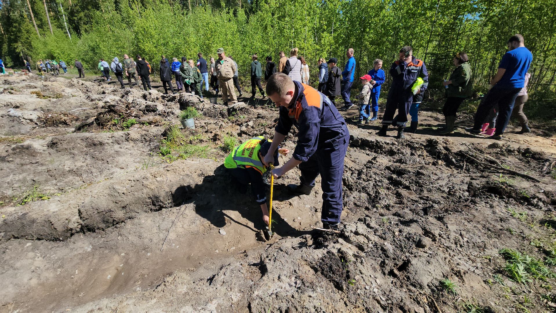 шатура, Мособллес, сад памяти, международная акция Лес Будущего, высадка деревьев, россия 1, вести москва, вести подмосковье,