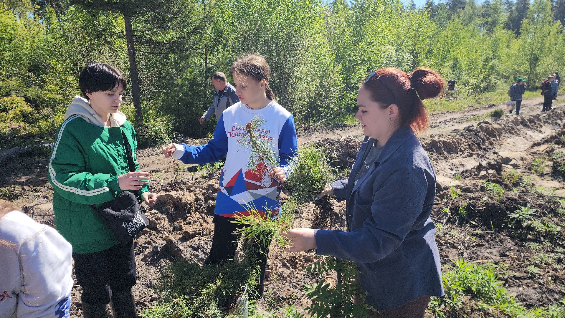 шатура, Мособллес, сад памяти, международная акция Лес Будущего, высадка деревьев, россия 1, вести москва, вести подмосковье,