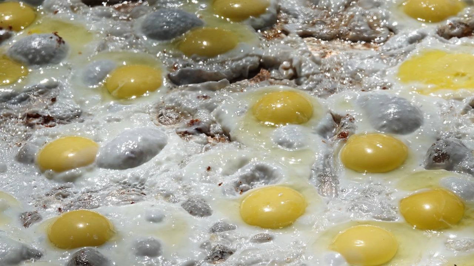 День жен-мироносиц, Хотьково, Праздник,