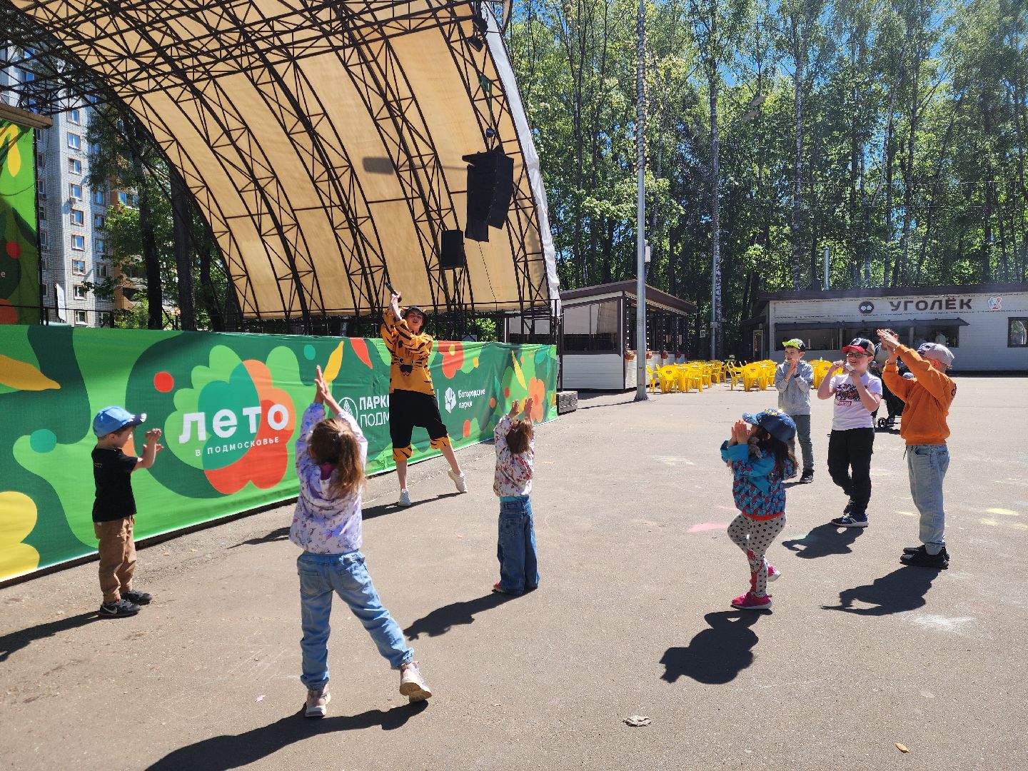 ногинск, фестиваль домашних животных, питомцы, фонд, благотворительность, кошки, собаки,