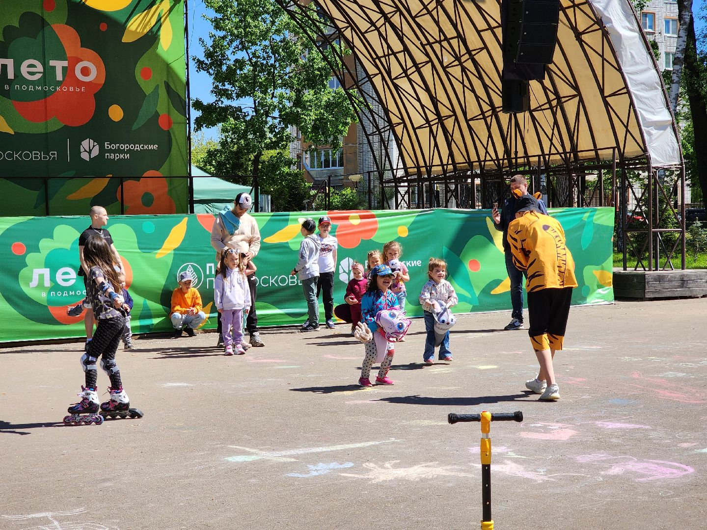 ногинск, фестиваль домашних животных, питомцы, фонд, благотворительность, кошки, собаки,