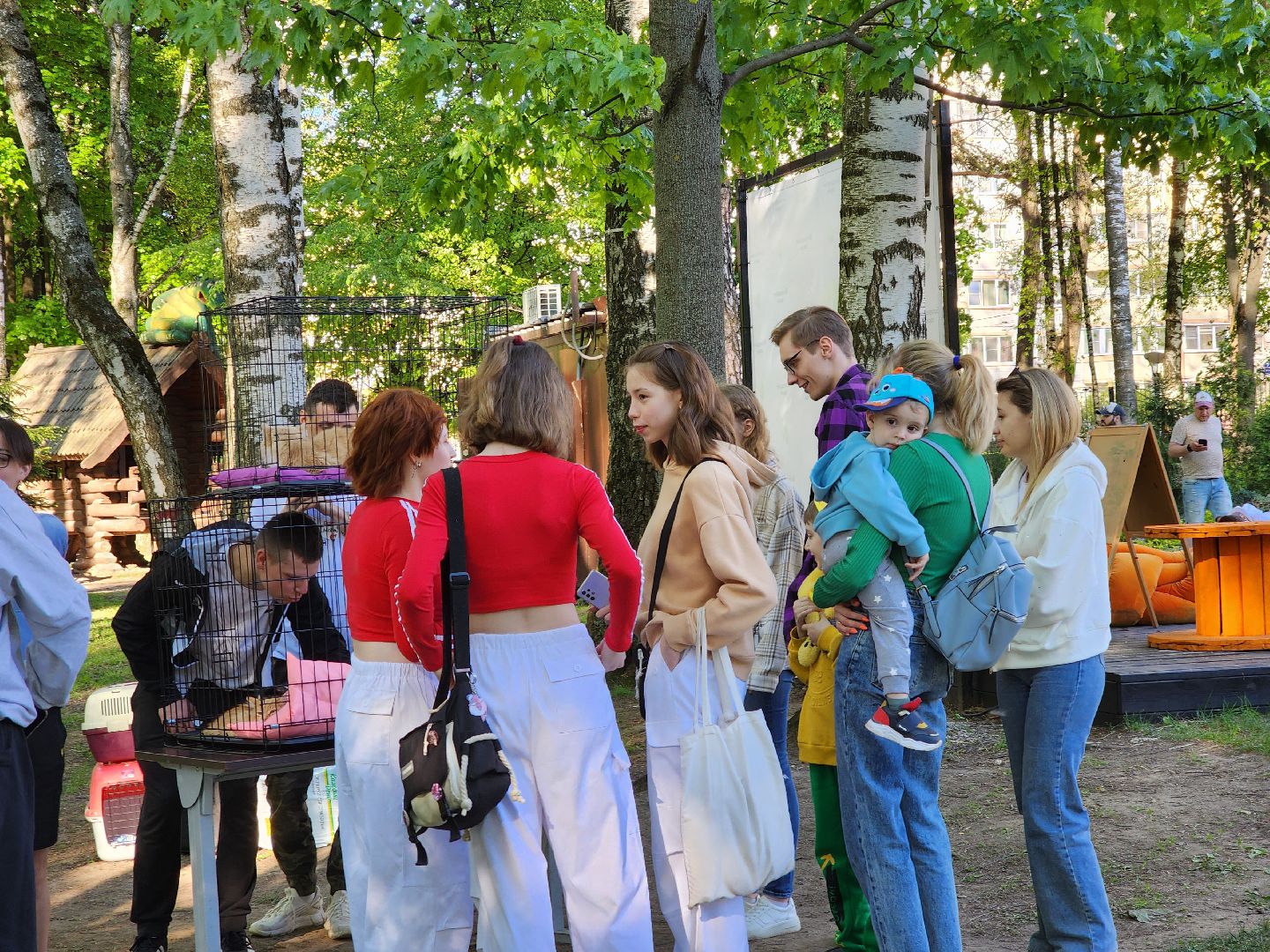 ногинск, фестиваль домашних животных, питомцы, фонд, благотворительность, кошки, собаки,