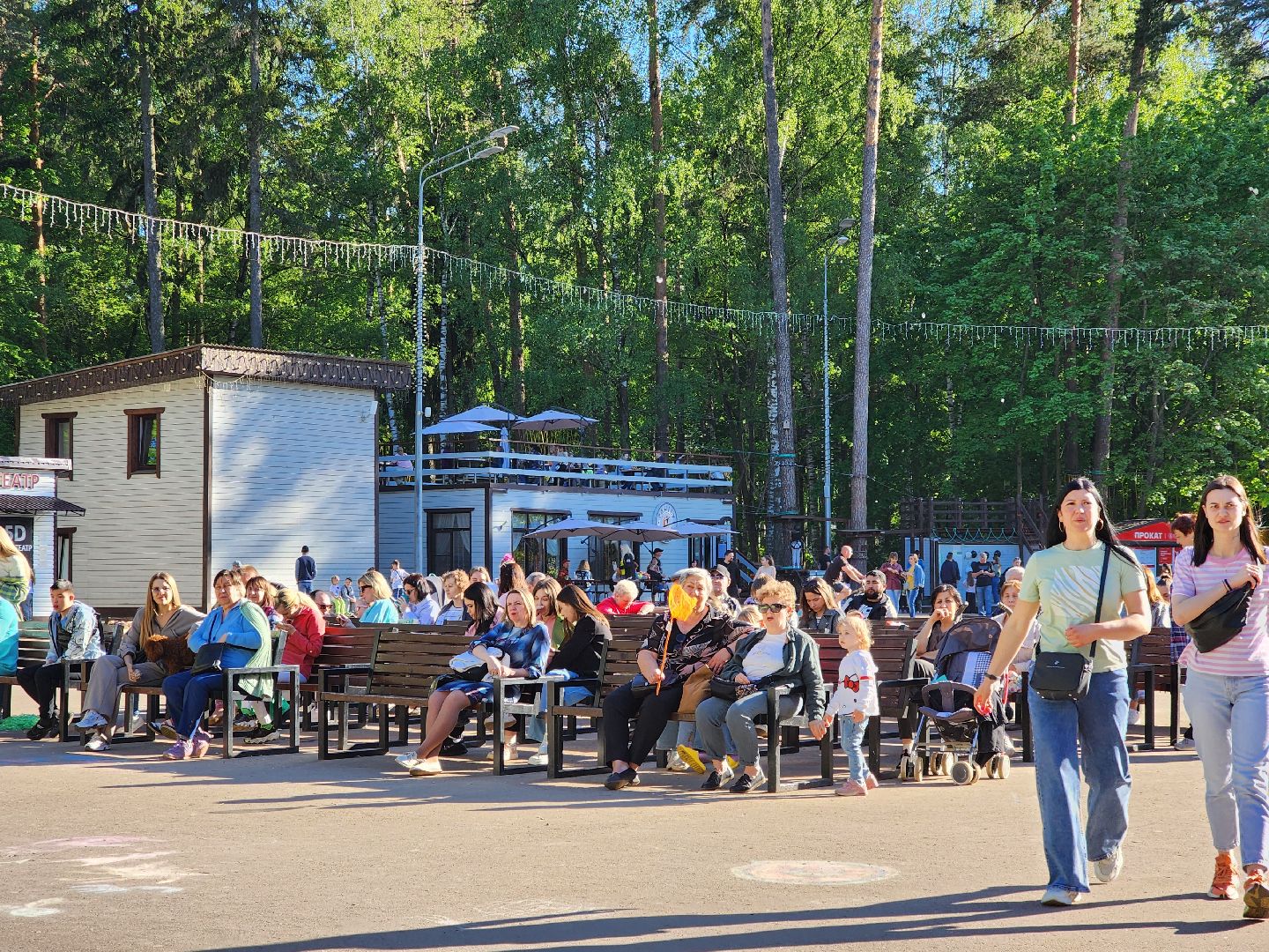 ногинск, фестиваль домашних животных, питомцы, фонд, благотворительность, кошки, собаки,