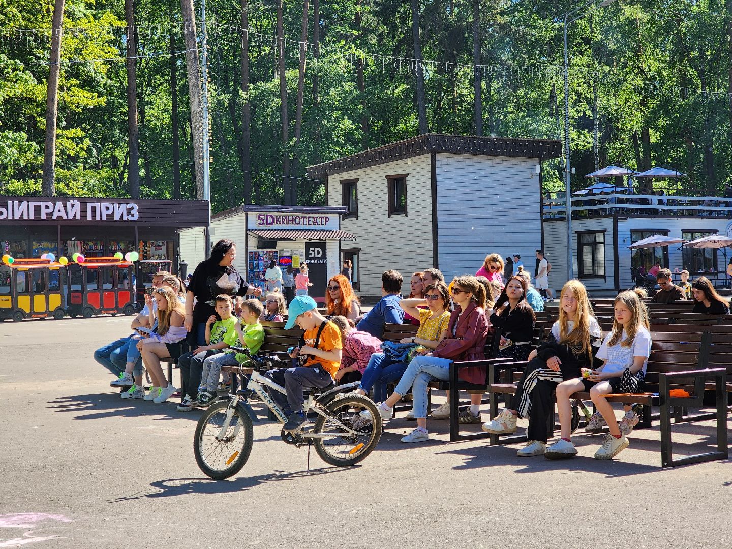 ногинск, фестиваль домашних животных, питомцы, фонд, благотворительность, кошки, собаки,
